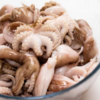 Frozen Baby Octopus